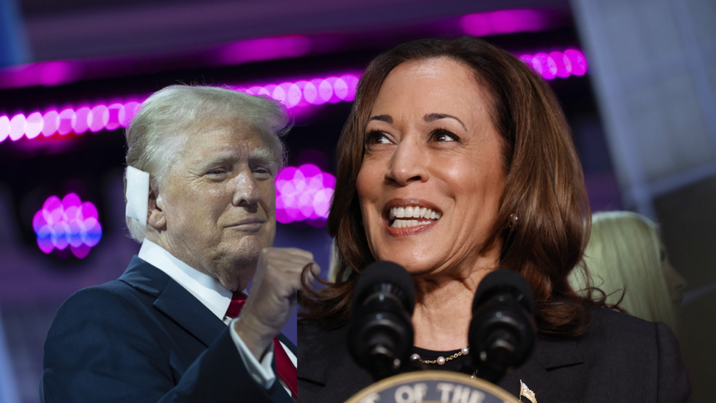 donald trump kamala harris